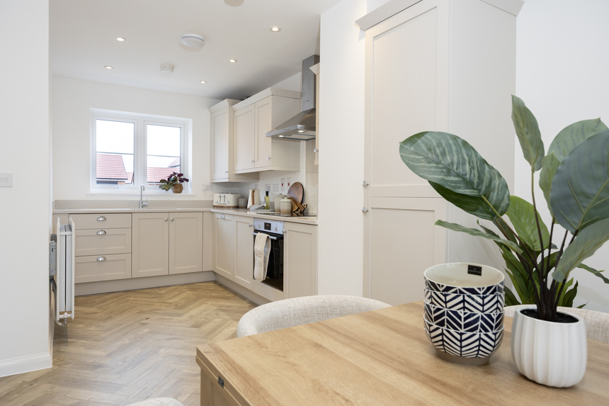 The Skylarks 97 The Wren 06