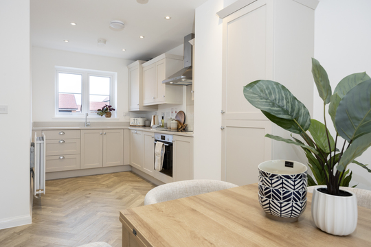 The Skylarks 97 The Wren 06