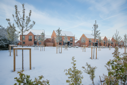 Walstead Park Lindfield Christmas Externals