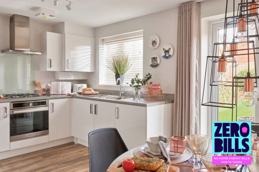 The Holly Zero Bills (2)