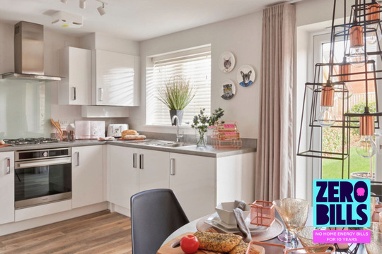 The Holly Zero Bills (2)