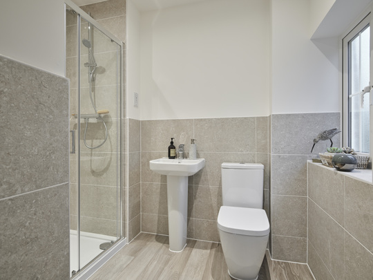 VISE-BROX-25-P32MAPLE-03