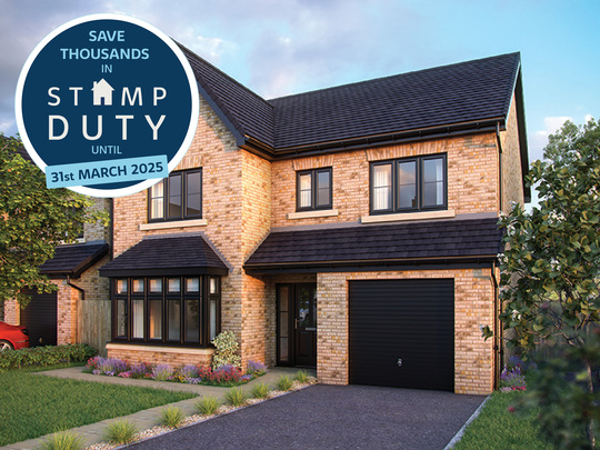 Cotterstock Meadows_Alder_Stamp Duty