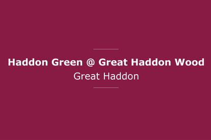 Haddon Green_Coming Soon_Linden