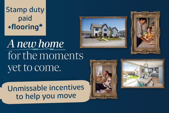 VDSW BH BVIEW WEB CAROUSEL