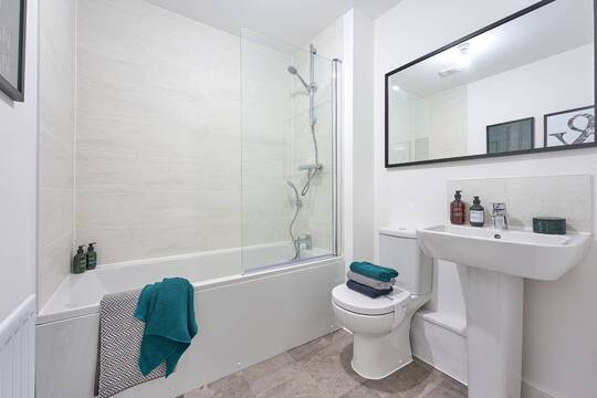 Typical Bathroom_3