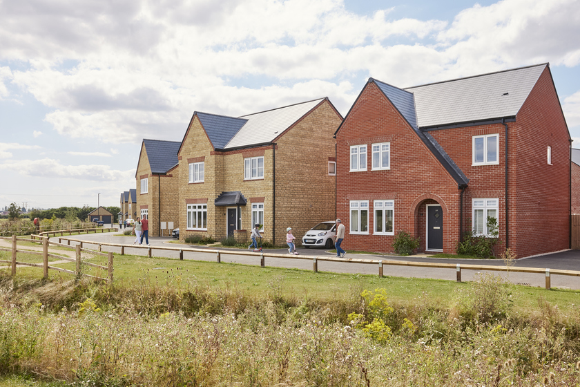 Bovis_Linden_0608241695