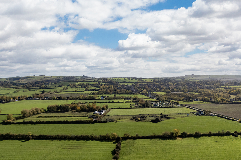 redlands_grove_02_web