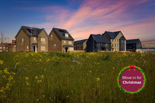 East Anglia_Haddon Green-_Move In For Christmas