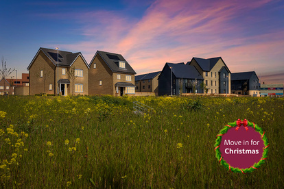 East Anglia_Haddon Green-_Move In For Christmas