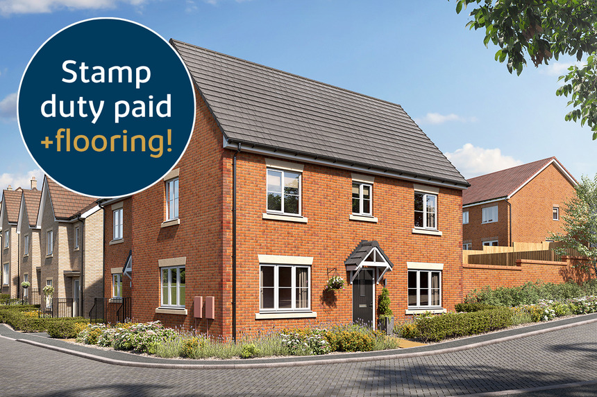 VDSW BH OGROVE SPRUCE