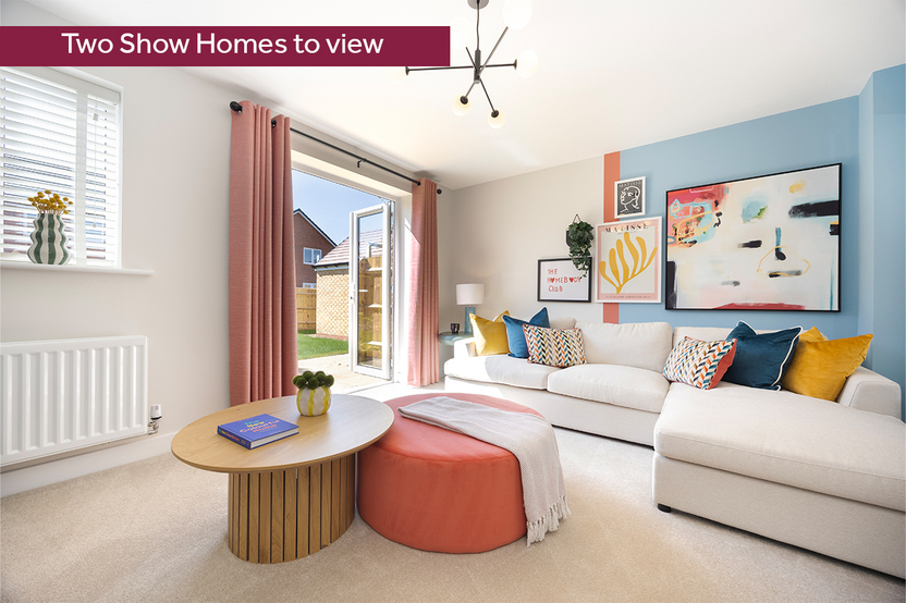 LH-VSWM-BPWV-TWO SHOW HOMES