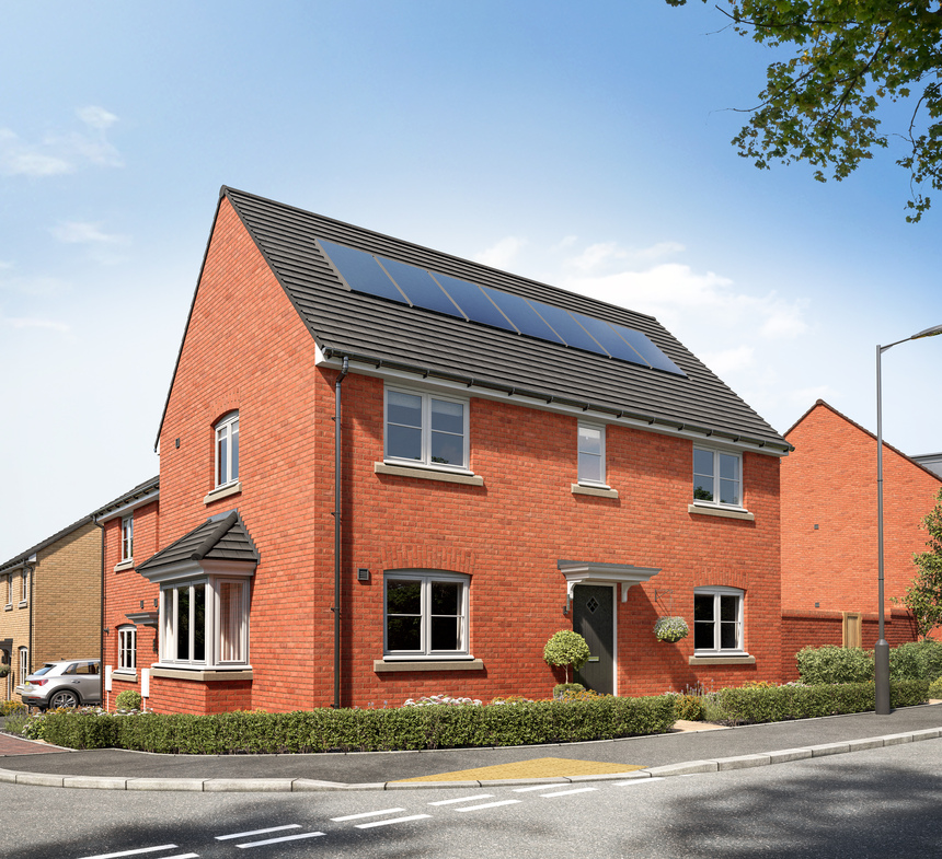 Sunflower - Plot 186