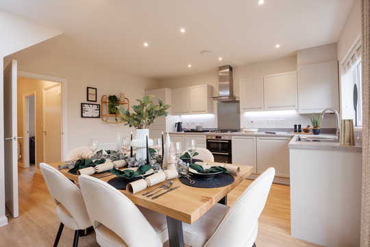 CP_Tors_SH_161223_18