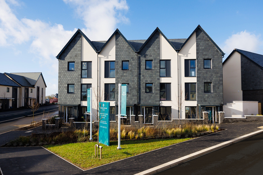 CP_SherSH807_121225_26 edit