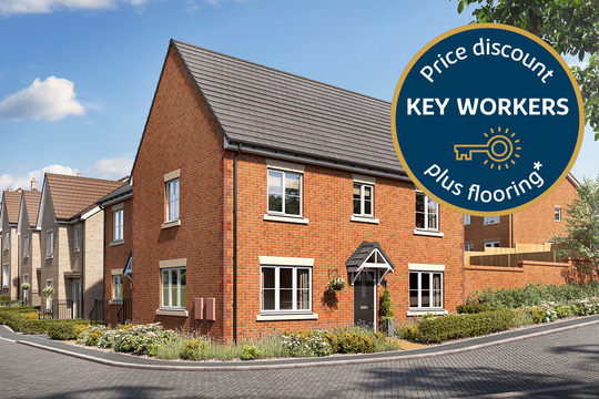 VDSW BH OGROVE SPRUCE 234