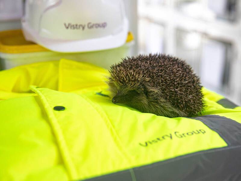 Vistry’s Hedgehog Highways Roll-out Helps To Reduce Numbers Taken In By Wildlife Centres