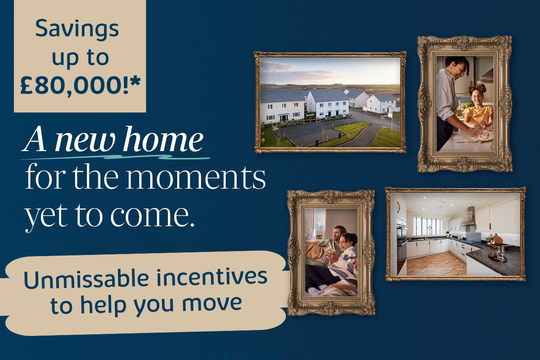 VDSW BH DBID WEB CAROUSEL