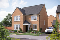 Home 61