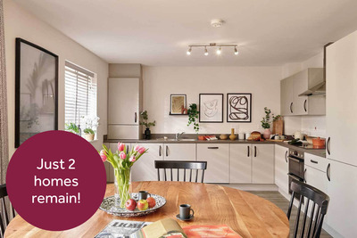 Home 372