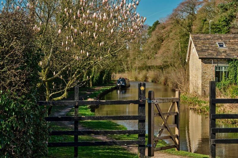 Fun things to see and do in Cheshire this summer