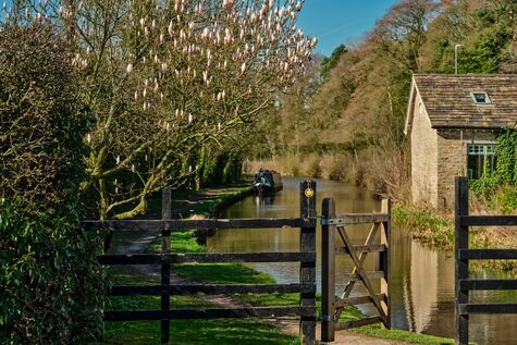 Fun things to see and do in Cheshire this summer