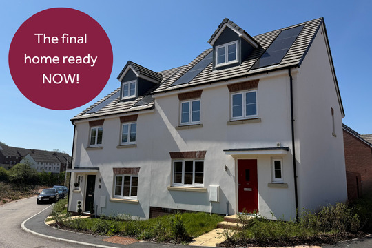 VDSW LH TBARN RIPLEY 381