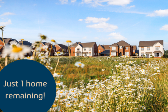 VDSW BH WELI HERO IMAGE 01