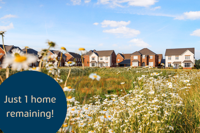 VDSW BH WELI HERO IMAGE 01