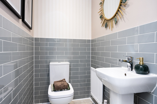 East Anglia_kings_newton_knightley_10