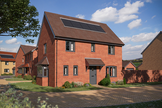 DS11764 [BH] 12 FEN Fennel Plot 832_web