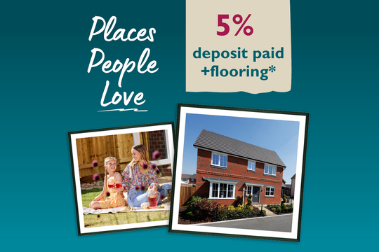 VDSW CH IGROVE WEB HERO