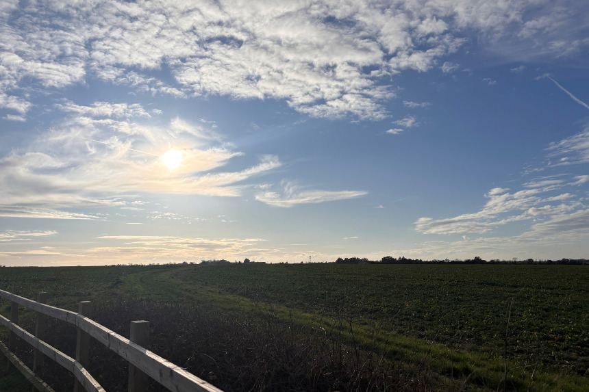 view from juniper plot 110