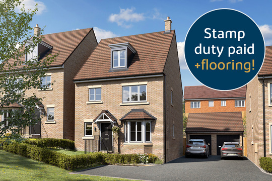 VDSW BH OGROVE WILLOW HERO