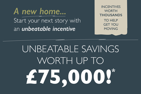 07925-01 Verdica_Website Header 1280x853px