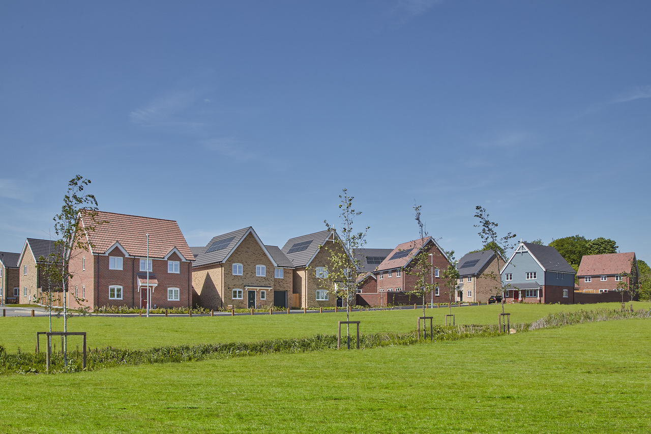 Countryside at St James' Park