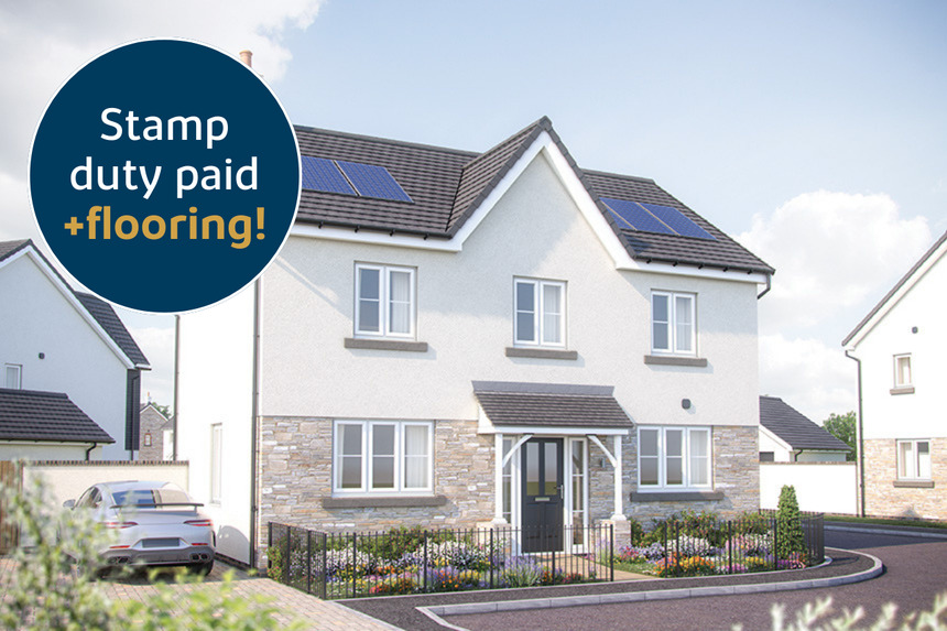 VDSW BH WADE CHESTNUT