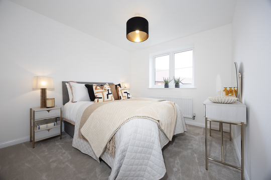 The Skylarks 97 The Wren 19