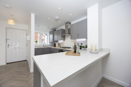 The Skylarks 96 The Swift 04