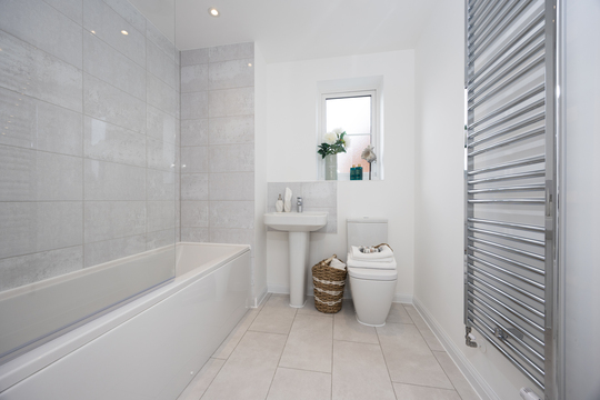 The Skylarks 96 The Swift 19