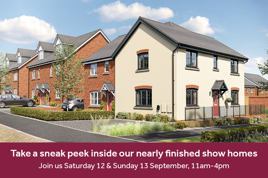 LH-SEM- Linby Meadows- show home event