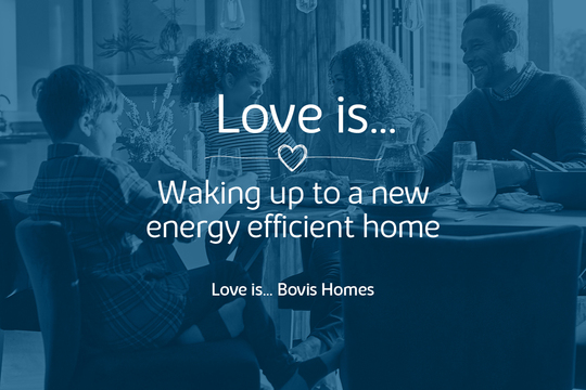 Bovis_Love-Is_Website-Graphics_Energy-Efficient