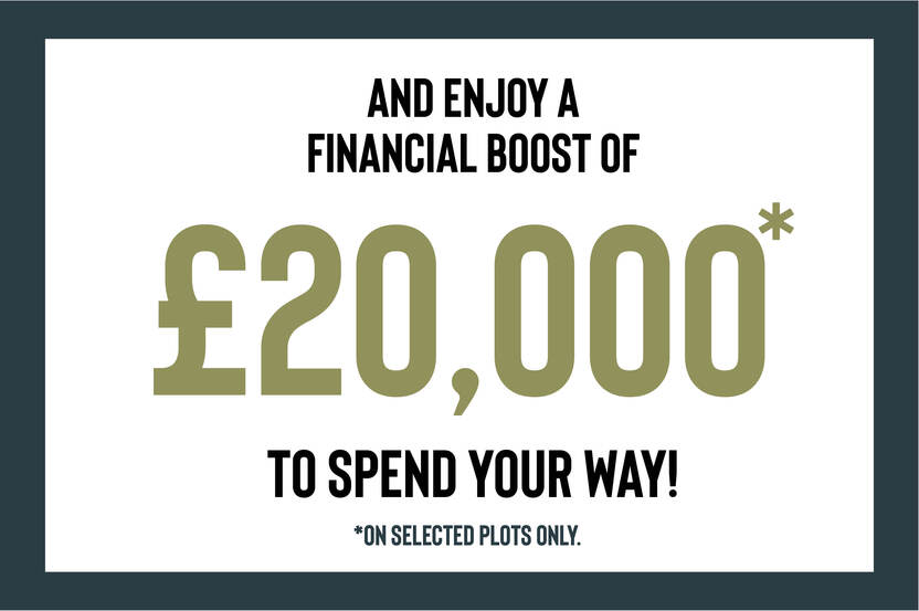 07110-03  Verdica - Q4 Campaign - £20K to spend your way