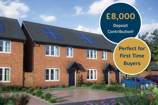 P142 The Apple The Quarters (1) C