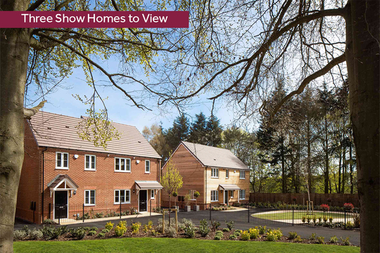 LH-VSWM-PG-3 SHOW HOMES