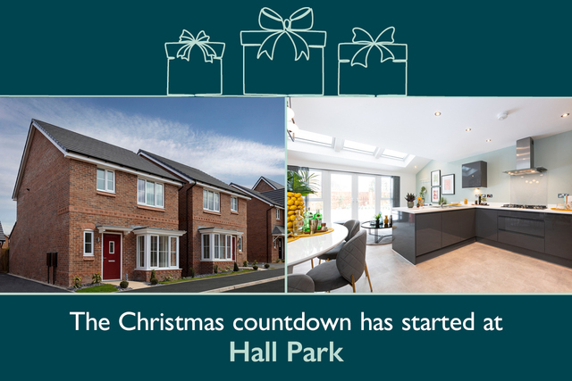 HALL PARK DS14777_[BH][CH][LH]_Countdown-to-xmas_banners_pf110