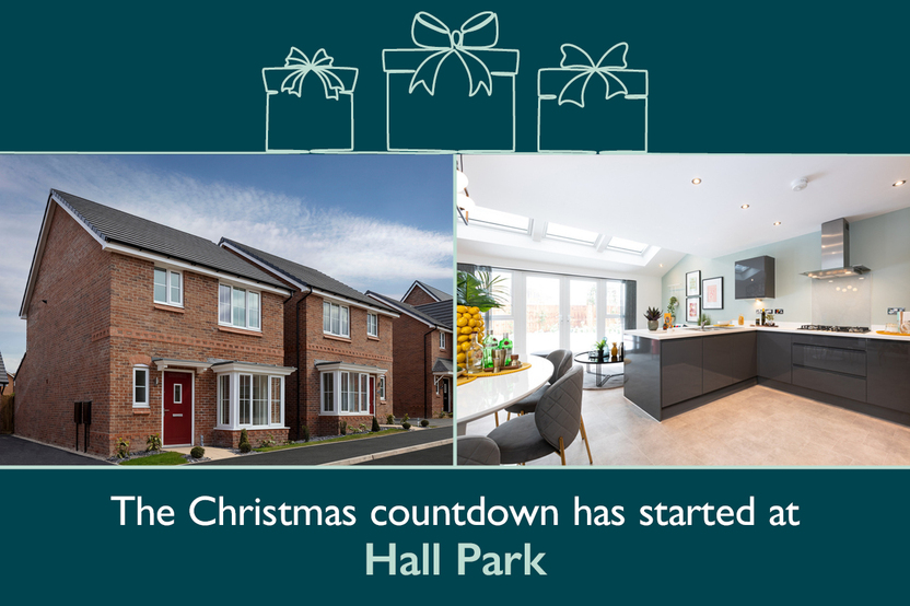 HALL PARK DS14777_[BH][CH][LH]_Countdown-to-xmas_banners_pf110