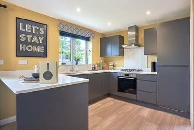 Home 260