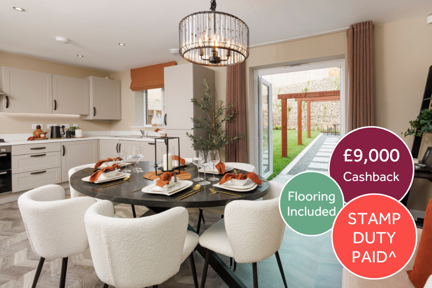 Pleasley View Plot 157