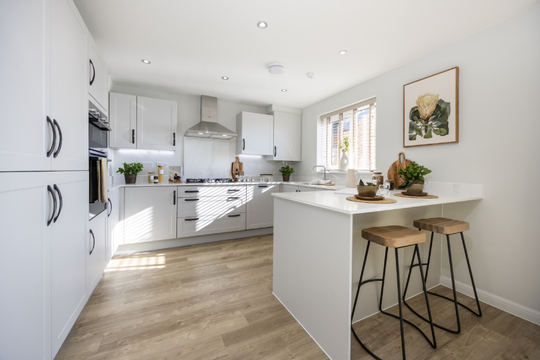 The Sampson HT 461 - Kitchen